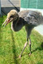 Yellow Blue Black - 2nd July 2014 Yellow Blue Black - 2nd July 2014